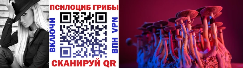 Псилоцибиновые грибы Cubensis  Тейково 